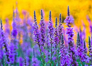 《战争机器》开发商放出虚幻5技术演示首张截图